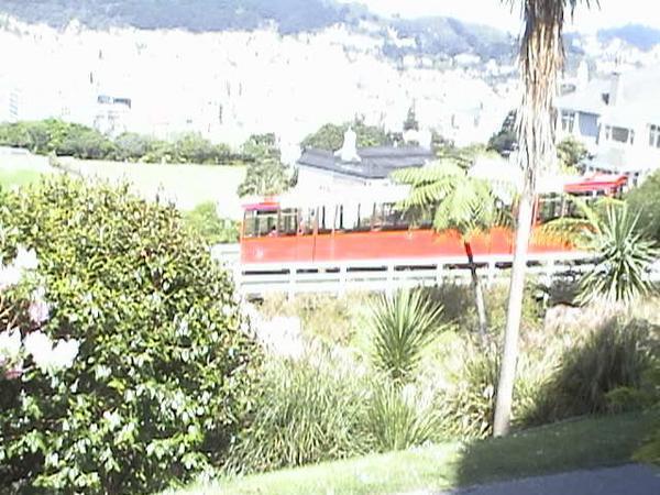 cable car at botanic garden
