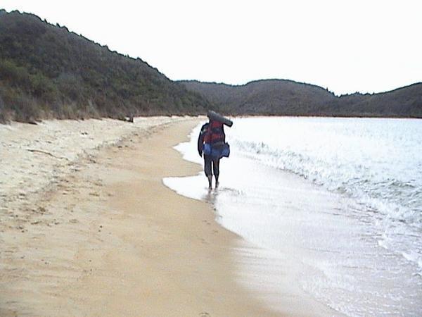 Track along the beach