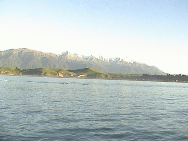 Kaikoura Range from the boat