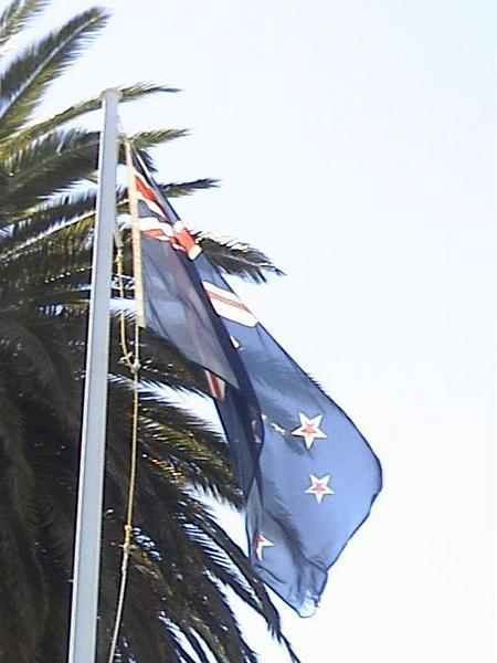 the Southern Cross flag