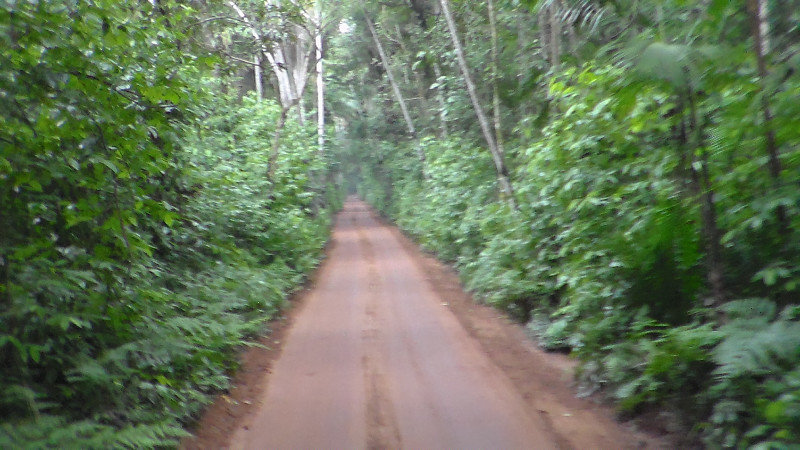 trail in the Brazilian Iguacu National Park