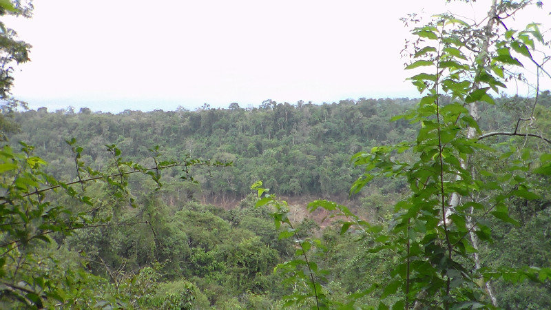 views over the Iguacu river