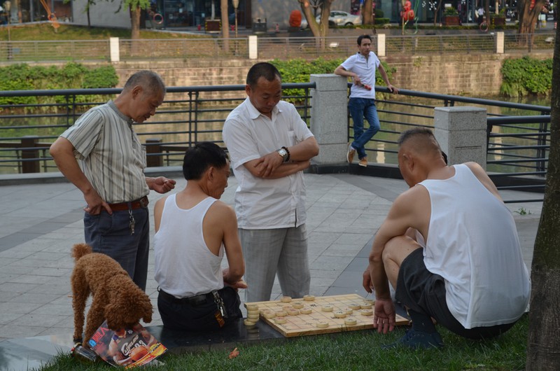 people watching - Chinese chess