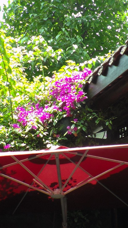 parasol with flowers