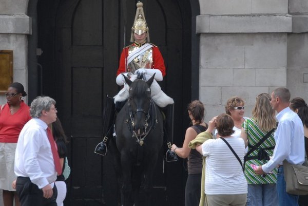 The Famous Horse Guard