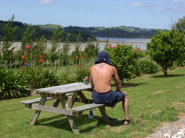 The view of Kaipara Harbour