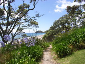 Cathedral Cove walk