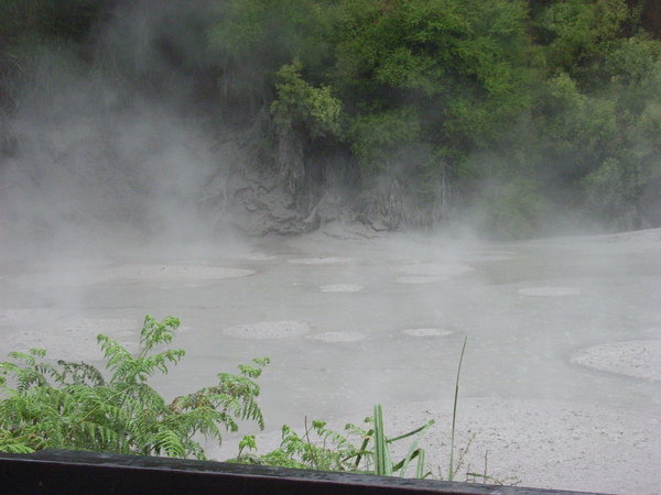 Waiotapu mud pools