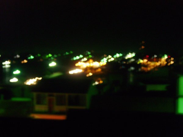 Flores at night