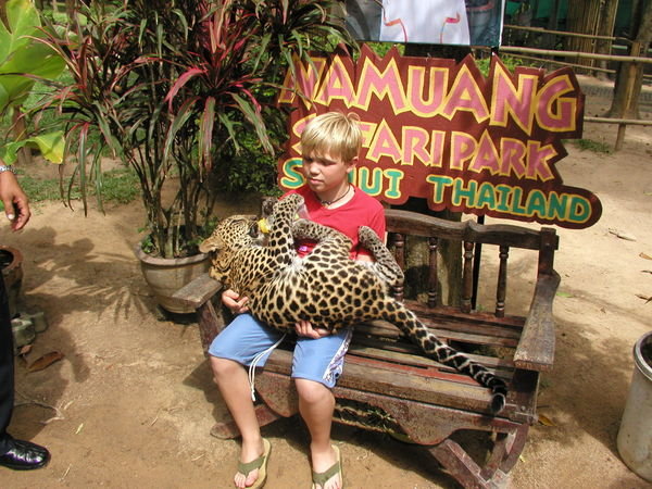 Kasper og leoparden