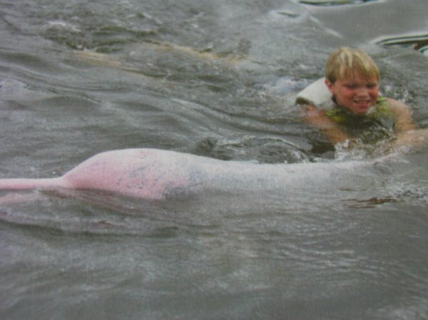 Delfinsvømning