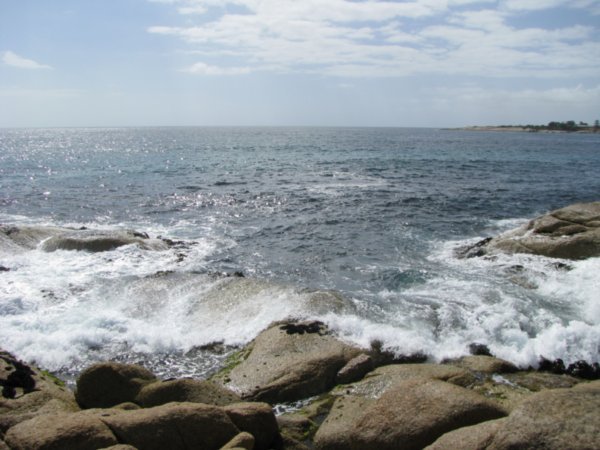 East Coast Tasmania(Bicheno, St-Helens, Aspley Douglas Nat.Park) 007