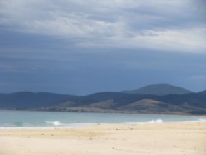 East Coast Tasmania(Bicheno, St-Helens, Aspley Douglas Nat.Park) 064