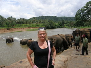 Some elephants and Mel