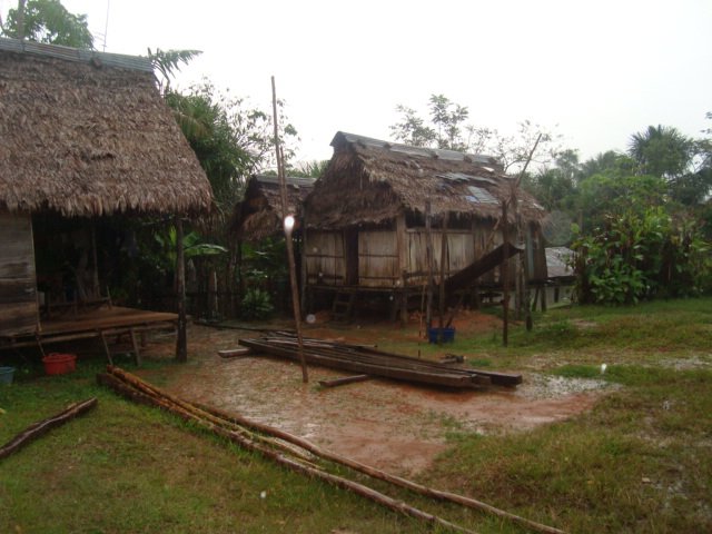 Local homes in the Amazon.