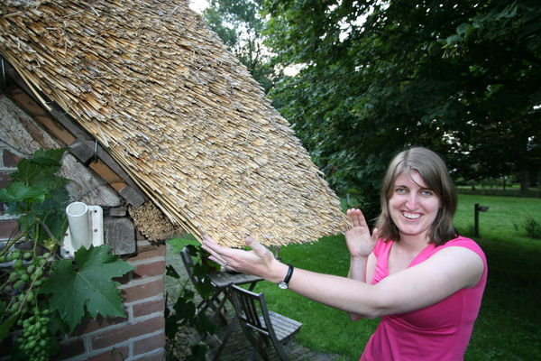 Thickeness of straw roof