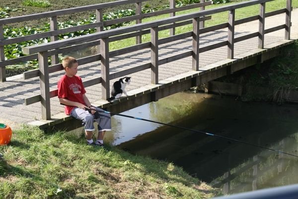 Boy and Cat Fishing no1