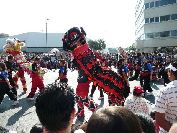 Chinese Dragons At Parade
