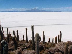 Salar tour, Bolivia