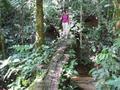 Me Crossing a jungle bridge