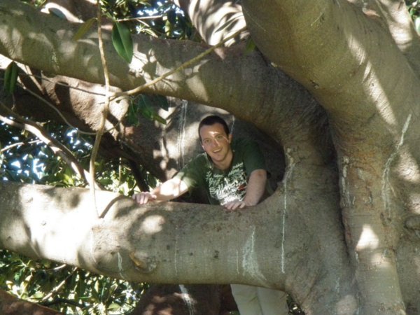 climbing trees at the Botanical Gardens
