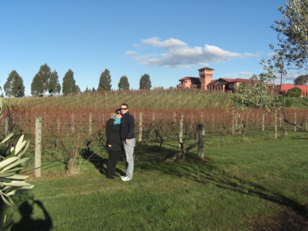 Vineyard at Blenheim