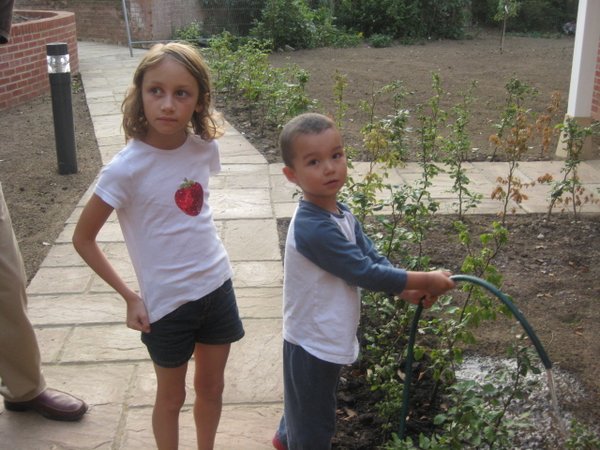 Kids watering the plants