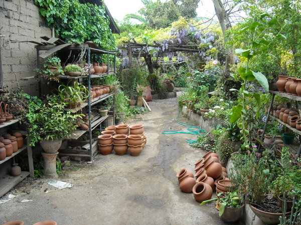 where we got to make our own pots!
