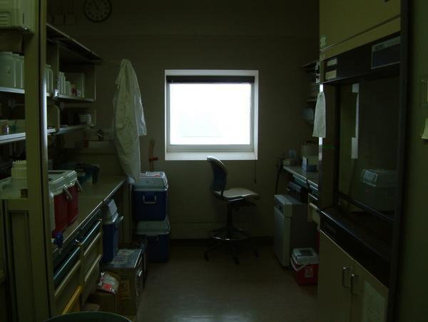 Their Side of the Lab