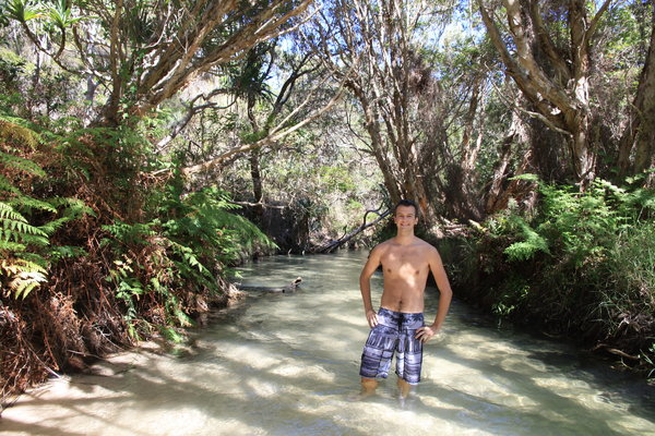 Swimming Hole in the Jungle