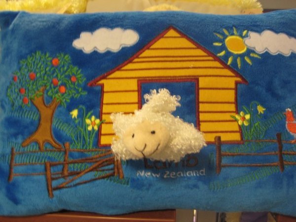 Kiwi Country...more pillows 3