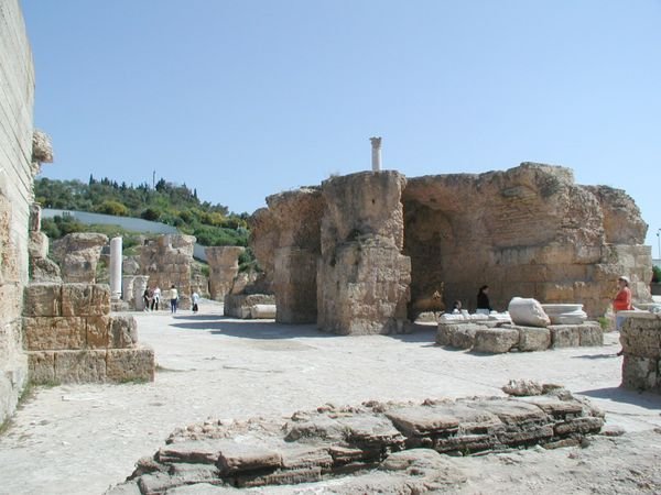 The ruïns of Carthago