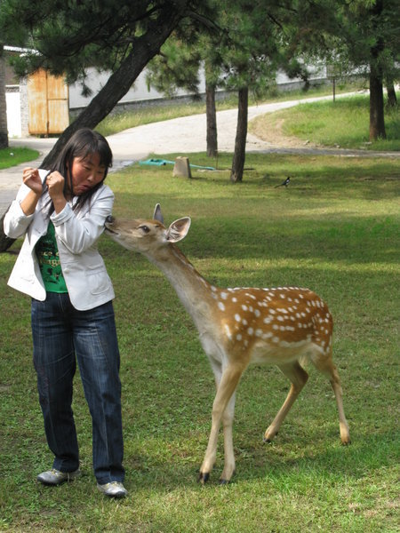 At the Summer Palace in Chengde