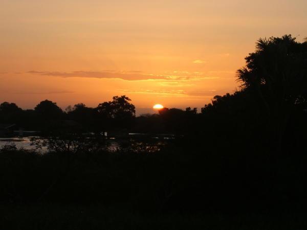 Amazon sunset