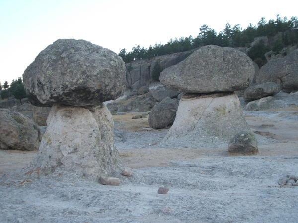 Rocks that look like mushrooms