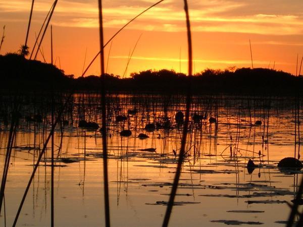 Sunset on the delta