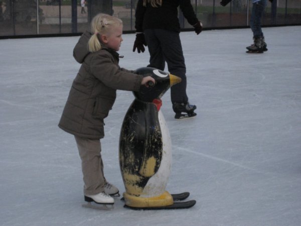 All the little kids had these penguin things to help them learn to skate, never seen it before, great idea!