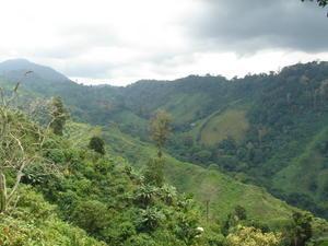 The coffee valley