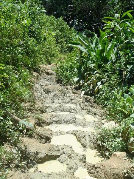 The muddy path!