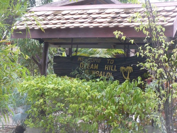 Dream Hill