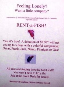 Rent-a-Fish?