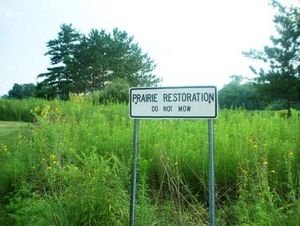 Prairie Restoration?
