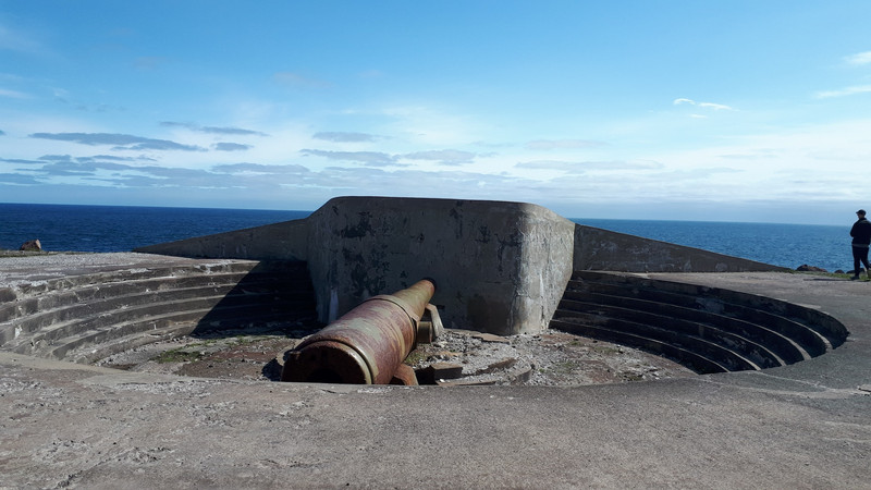 Harbour defences at Cape Spear