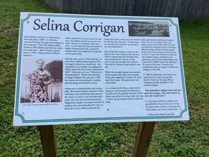 Selina Corrigan