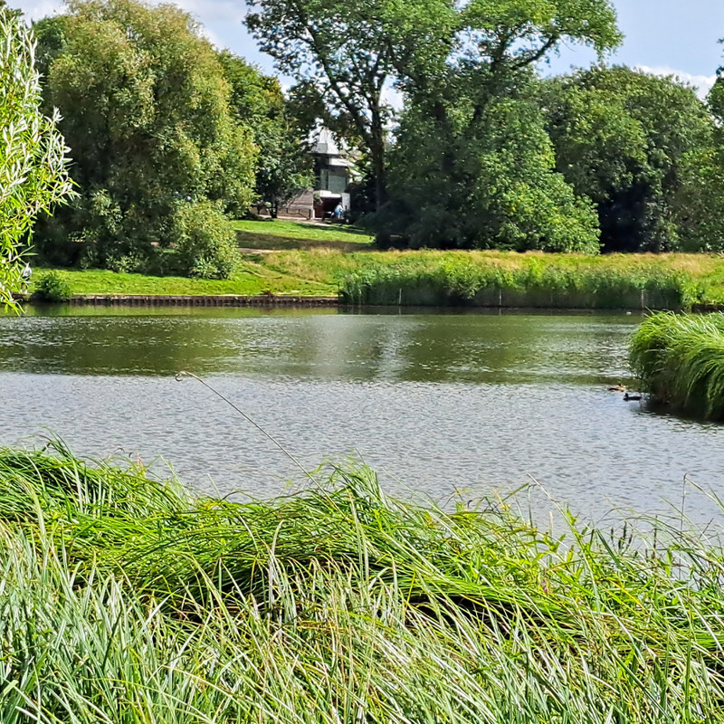 Ponds in Hamstead Heath