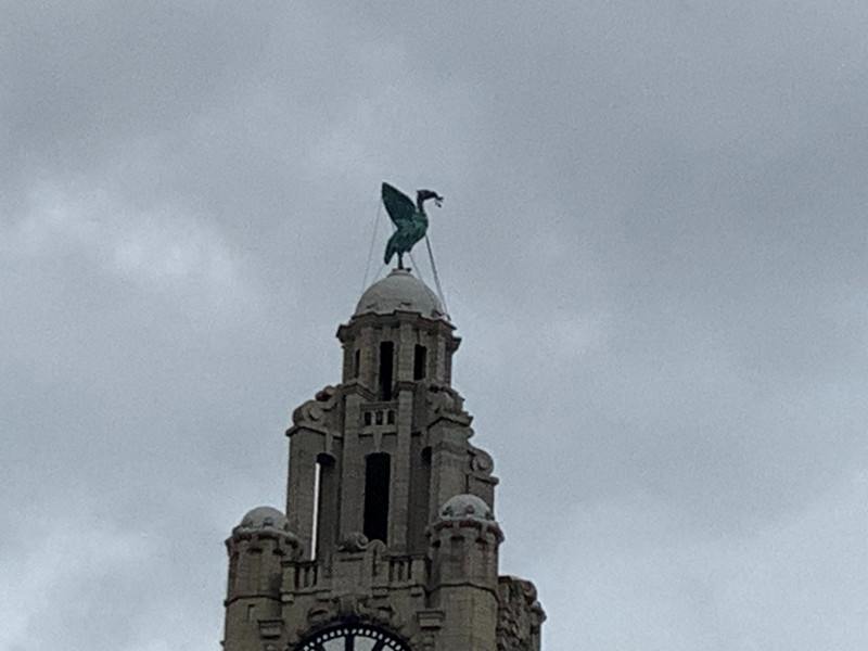 The Liver birds watch over the city