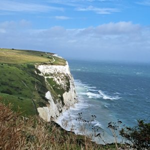 White Cliffs of Dover, looking down.