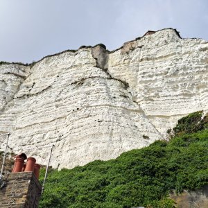 White Cliffs of Dover, looking up.