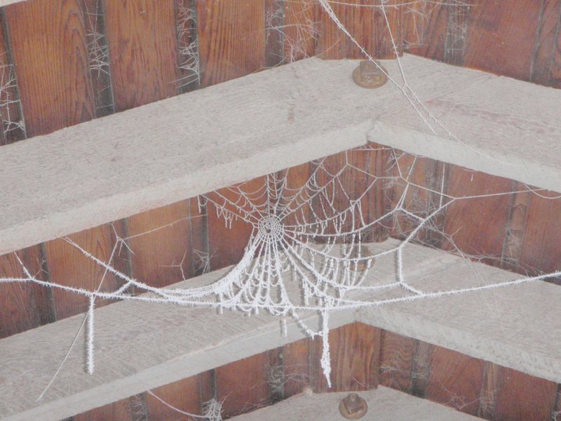 Icy spiderwebs
