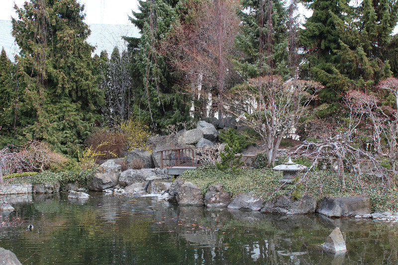 Kelowna Japanese Gardens